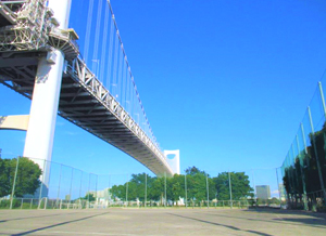 芝浦南ふ頭公園運動広場の画像